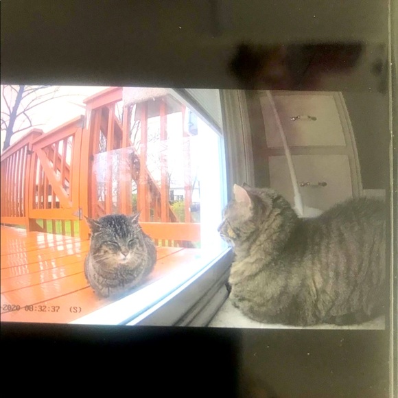 Muggles - Picture 5 of 6